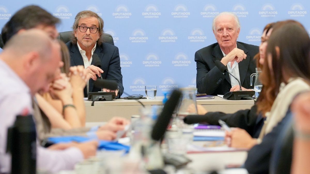 Bertie Benegas Lynch informó el despacho de mayoría sobre el Presupuesto 2026 aunque sin mayores detalles. Bertie Benegas Lynch informó el despacho de mayoría sobre el Presupuesto 2026 aunque sin mayores detalles.