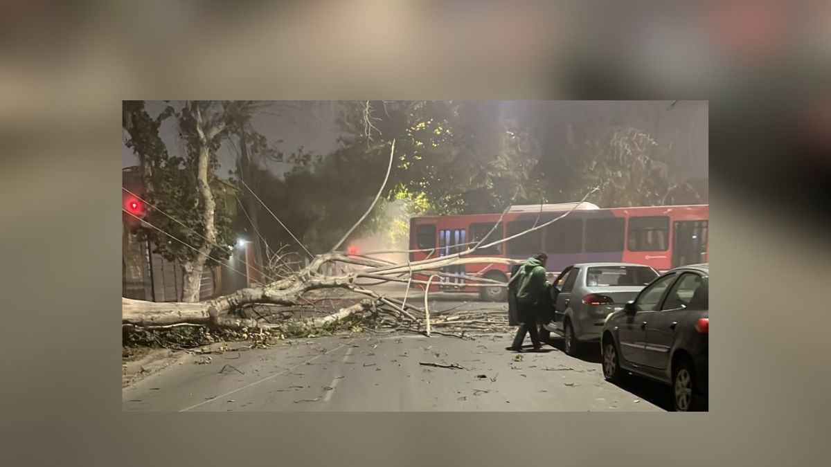 Videos: el ingreso de un frente de aire polar trajo fuertes ráfagas de viento en gran parte de Mendoza
