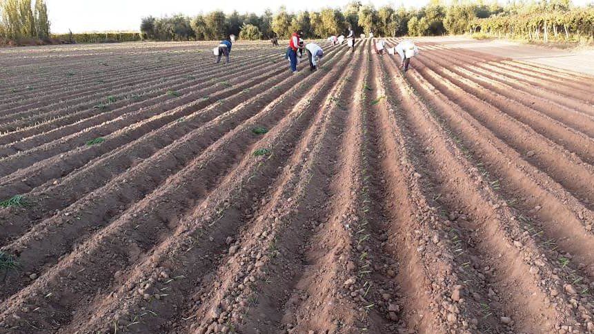 El movimiento de Grabois le respondió al empresario de Alvear