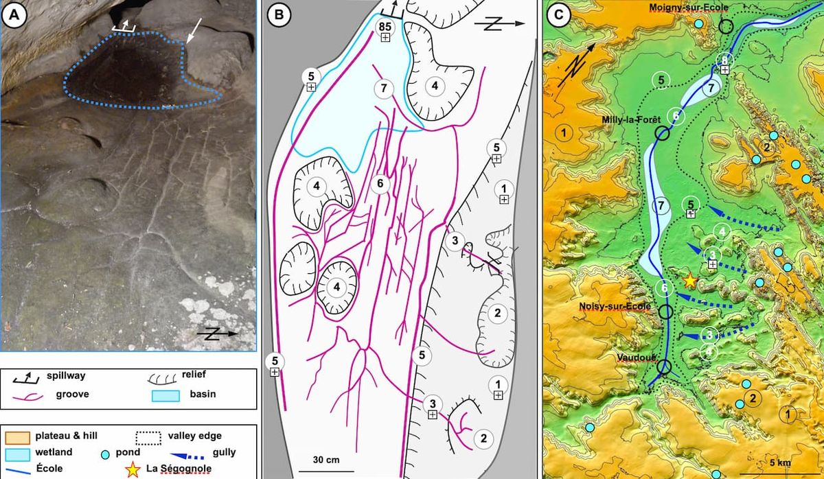 El descubrimiento es único en su tipo. El descubrimiento es único en su tipo.