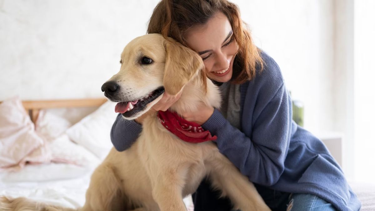 Los perros son animales sensibles que necesitan atención y afecto por parte de sus dueños. Los perros son animales sensibles que necesitan atención y afecto por parte de sus dueños.