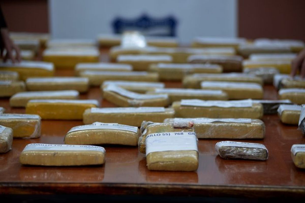 Más de dos toneladas de marihuana, además de plantas, se han decomisado en los más de 300 procedimientos en Mendoza. Más de dos toneladas de marihuana, además de plantas, se han decomisado en los más de 300 procedimientos en Mendoza.