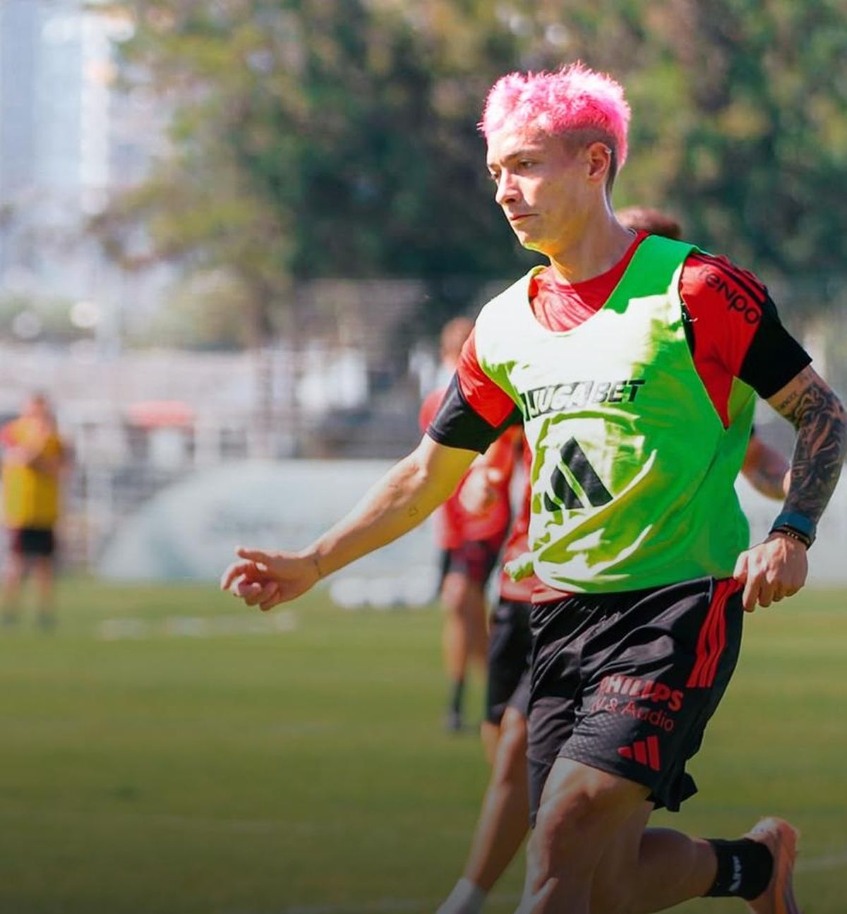 El Colo Colo sufri&oacute; la baja del delantero.