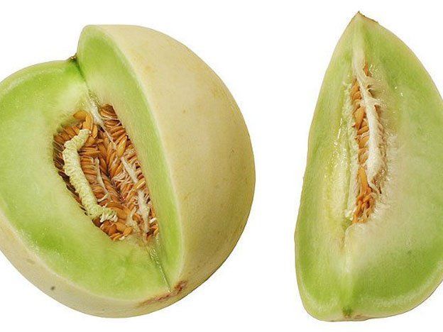 ¡Melón melón, qué grande sos!