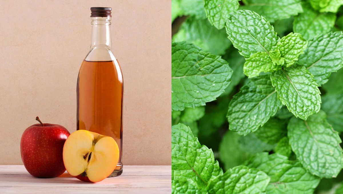 Dos ingredientes naturales, económicos y seguros. Dos ingredientes naturales, económicos y seguros. 