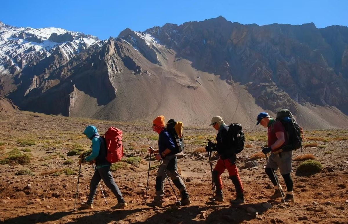 Integrantes de la Integrantes de la