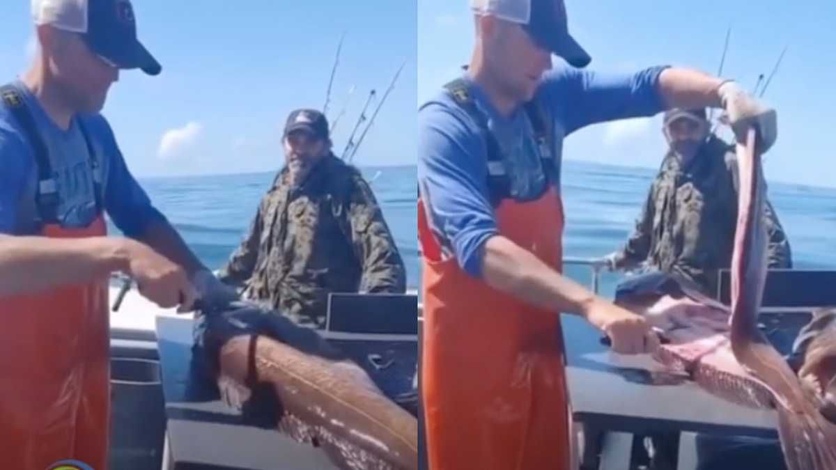 Increíble. Video: encontraron una botella de wishky dentro de un pez.