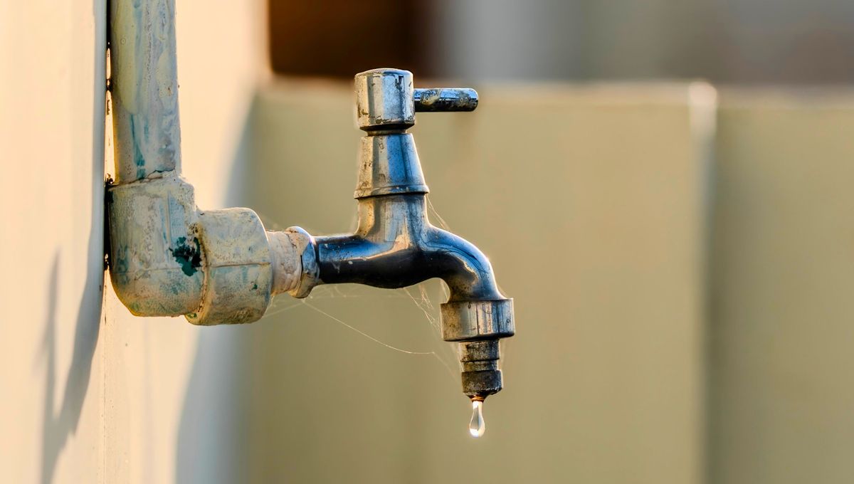 Una canilla que gotea no solo es molesta, también representa una pérdida de agua. Una canilla que gotea no solo es molesta, también representa una pérdida de agua. 