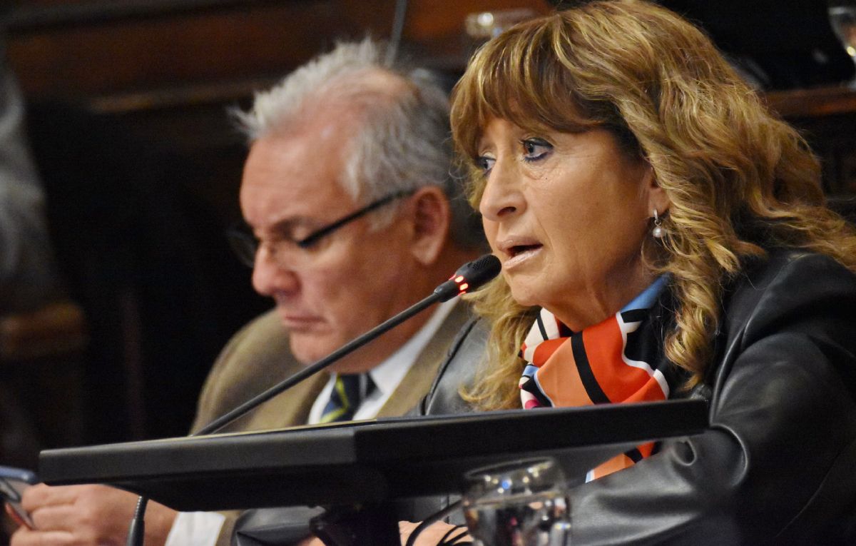 La diputada Elisabeth Crescitelli (UCR) y ex ministra de Salud defendió la declaración de la emergencia sanitaria por 12 meses.