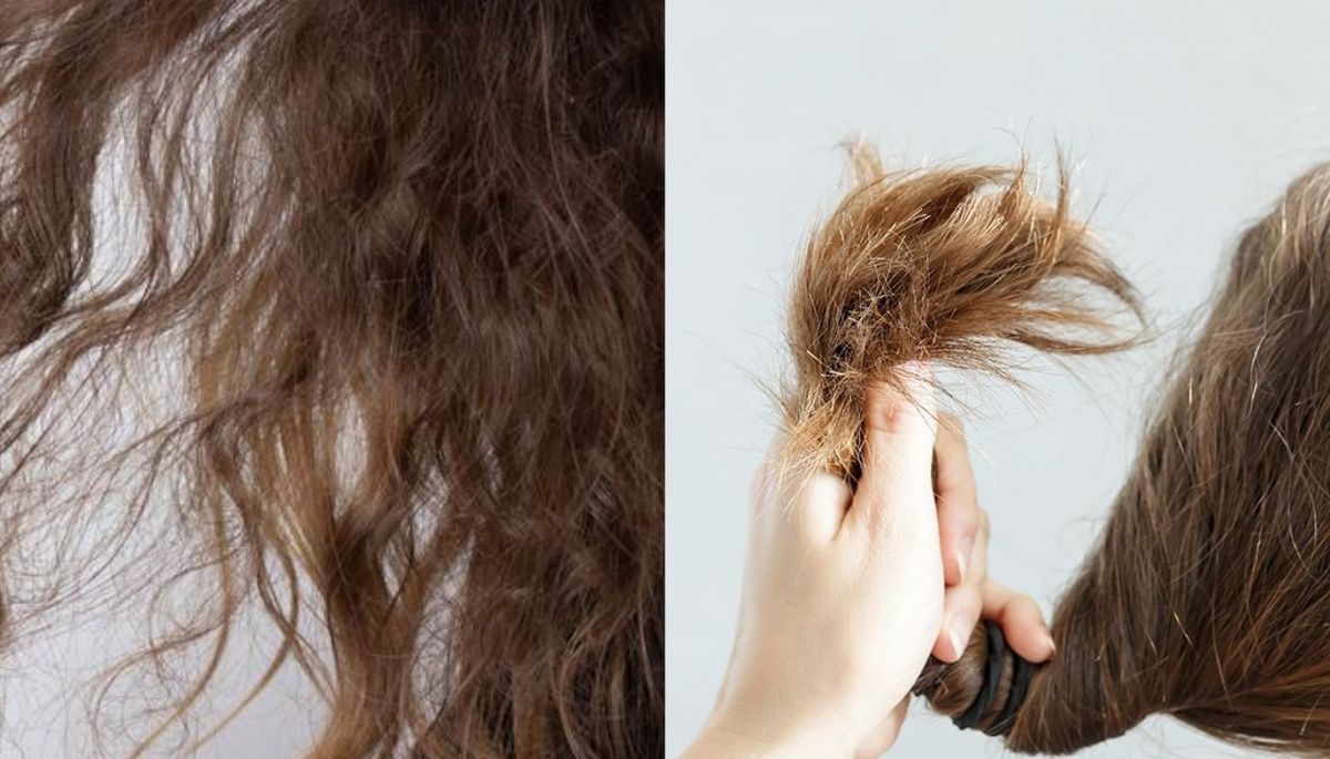 No recibas el Año Nuevo con el pelo seco y sin brillo. Prueba esta mascarilla casera si quieres conseguir una melena brillante y sana. No recibas el Año Nuevo con el pelo seco y sin brillo. Prueba esta mascarilla casera si quieres conseguir una melena brillante y sana.