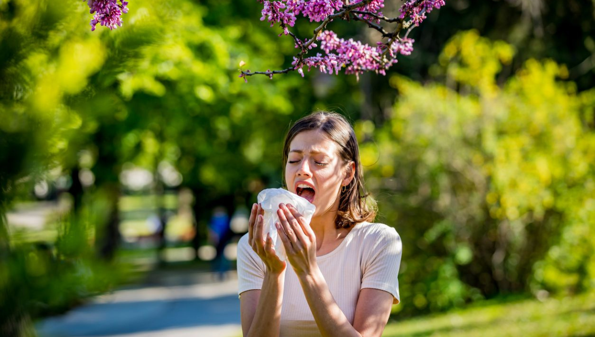 Para evitar la alergia en primavera, uno de los consejos que se suele dar a los ciudadanos es permanecer dentro del hogar