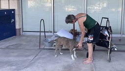 Una persona sin hogar acaricia a su perro en el pasillo de entrada del Ayuntamiento de Tucson en Arizona en Estados Unidos. Crédito: EFE/ Ana Milena Varón.