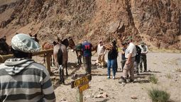 Avanza la causa por maltrato animal en el Parque Aconcagua