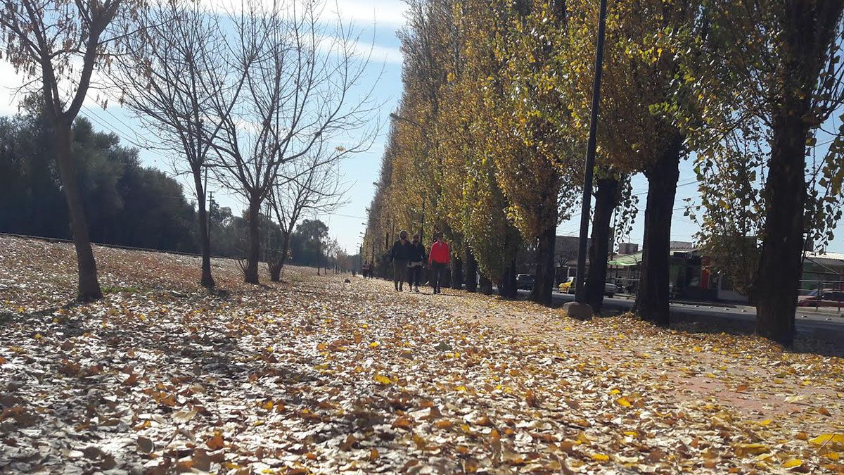 Pronóstico del tiempo en Mendoza: domingo soleado y frío