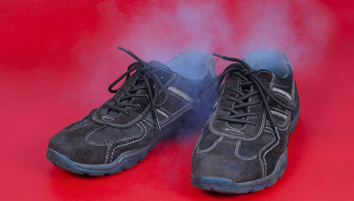 Este truco casero puede ser realizado en cualquier momento y solo se necesitan 5 minutos. Este truco casero puede ser realizado en cualquier momento y solo se necesitan 5 minutos.