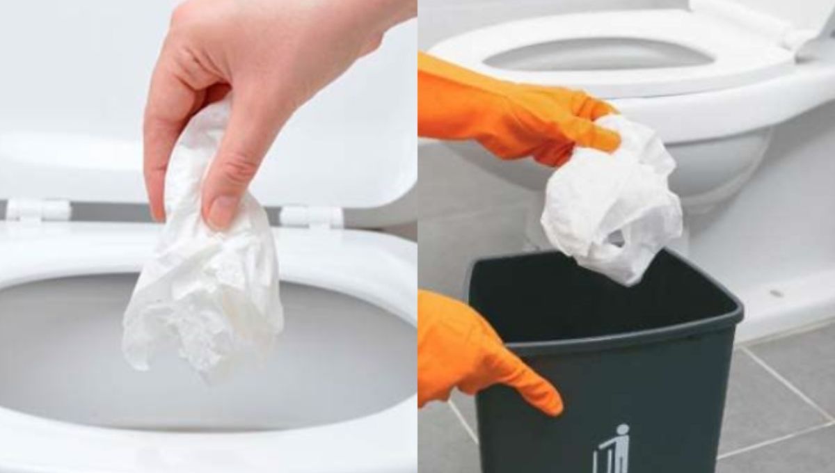 Lo que se debe hacer con el papel higiénico luego de usarlo