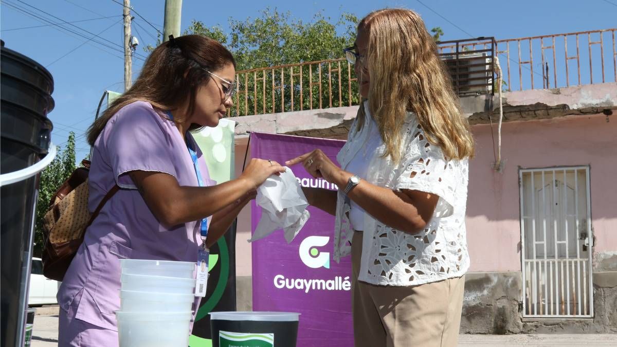 Técnicos en acción para combatir el dengue.