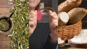 Científicas de la UBA crearon un sustituto del plástico a base de mandioca y yerba mate