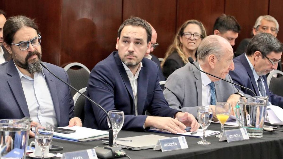 El ministro de Salud de Mendoza en la última reunión de COFESA. El ministro de Salud de Mendoza en la última reunión de COFESA.