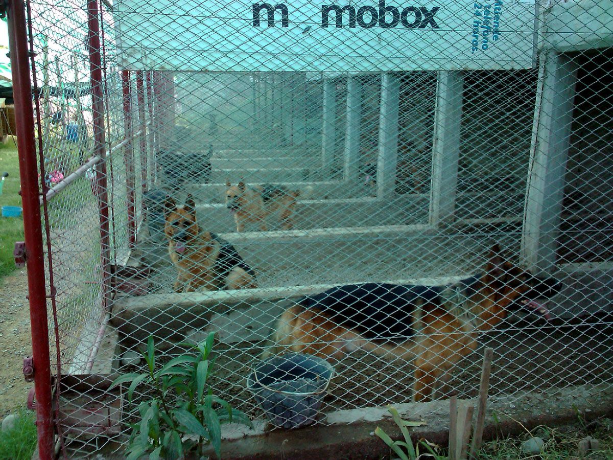 Hoteles para perros. Hoteles para perros.