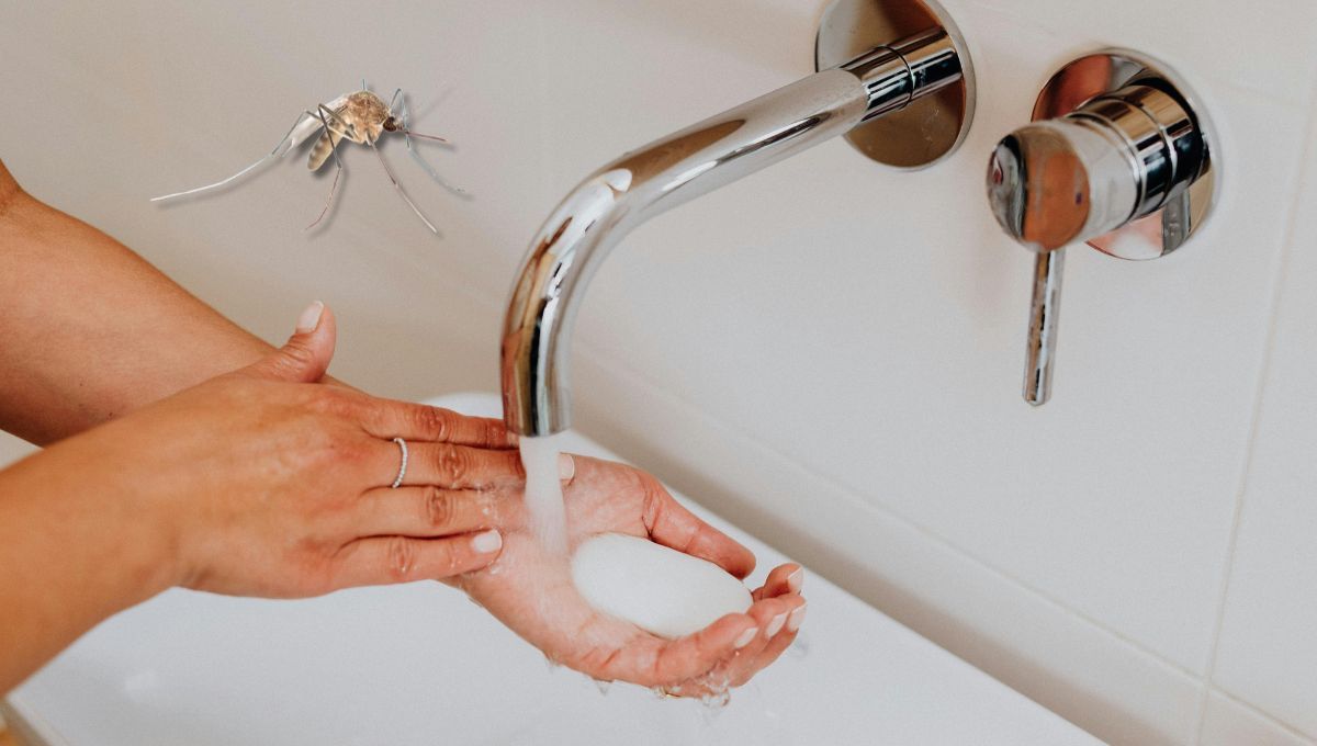 Con qué jabón tenés que bañarte para alejar los mosquitos de tu piel