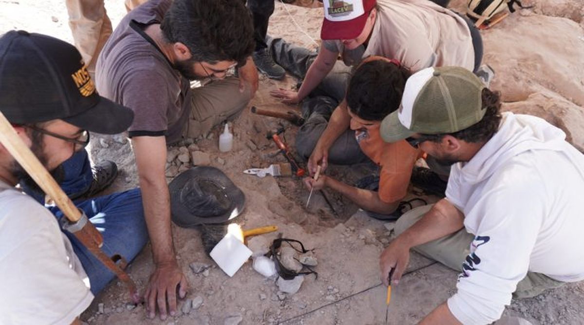 Durante los días que se transmitirá la campaña paleontológica en tiempo real. Durante los días que se transmitirá la campaña paleontológica en tiempo real.