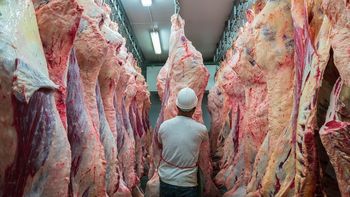 Argentina bate récord histórico en exportación de carne y esta nación es su principal destino Argentina bate récord histórico en exportación de carne y esta nación es su principal destino
