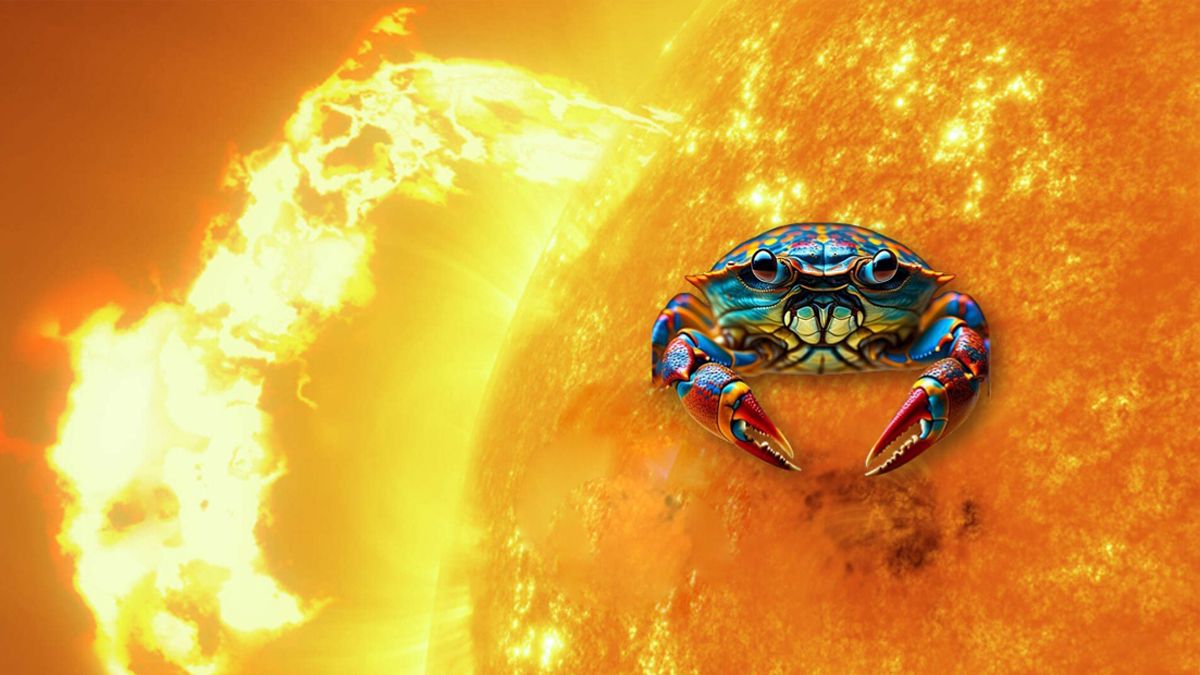 Sol en Cáncer: las predicciones astrológicas para los 12 signos del zodiaco