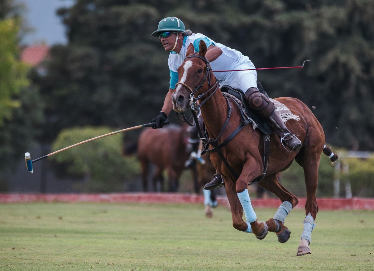 Los Sauces y New Lands Polo juegan la final del Torneo Vendimia en el Club de Campo