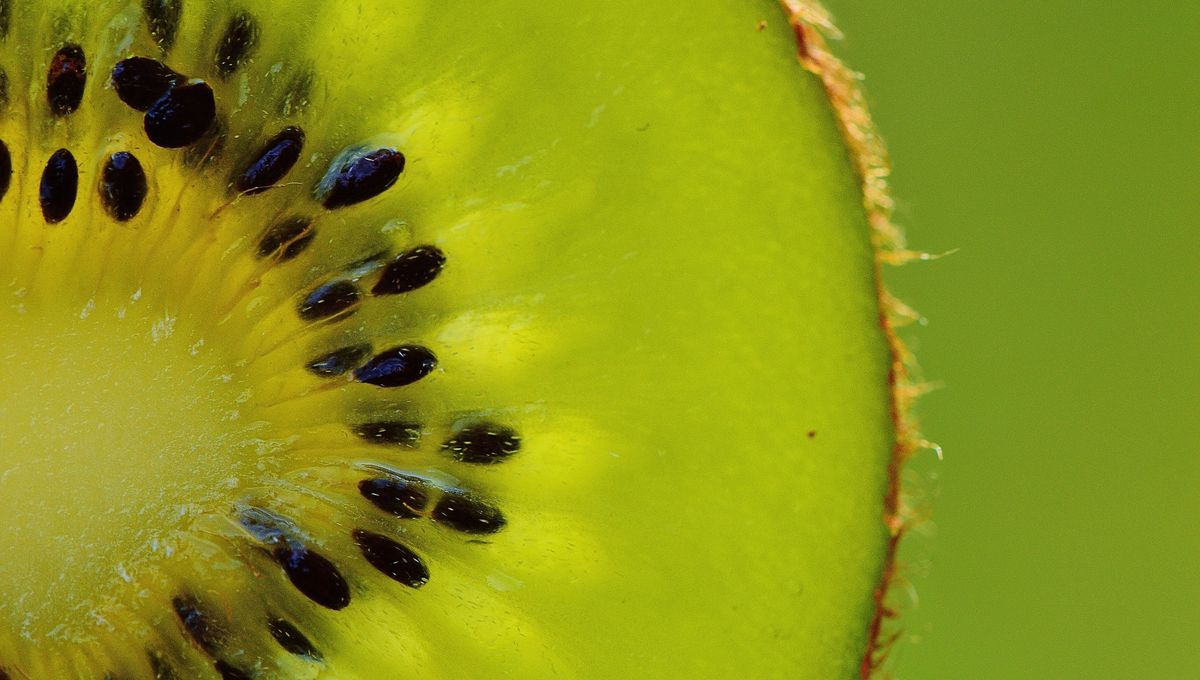 Cómo conseguir plantas de kiwi en casa