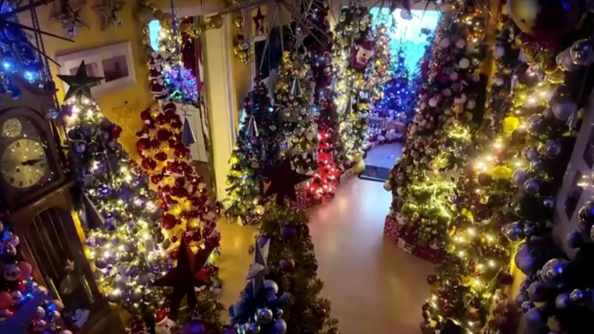 Una familia alemana logró reunir 621 árboles de Navidad en su residencia convirtiéndola en la casa más festiva del mundo. Una familia alemana logró reunir 621 árboles de Navidad en su residencia convirtiéndola en la casa más festiva del mundo.