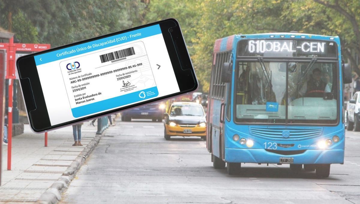 Gracias al CUD se puede acceder a descuentos en el pasaje del colectivo. 