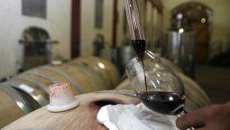 Sesenta y cinco bodegas mendocinas retomaron o comenzaron sus exportaciones en 2019