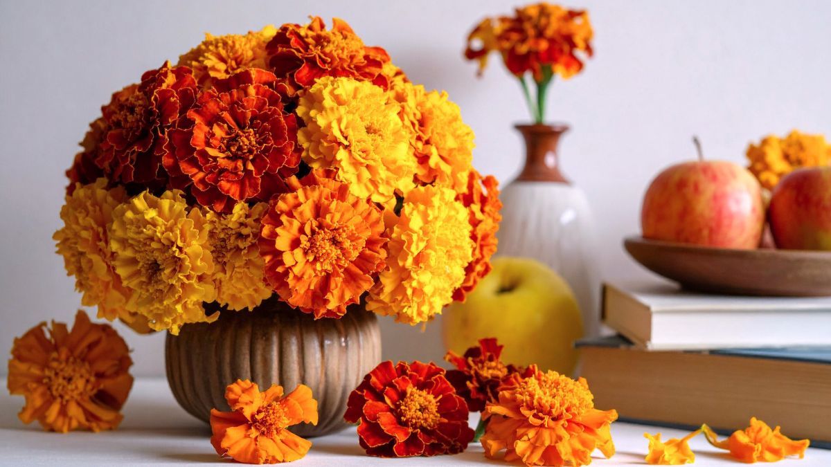 Descubrí el significado de regalar estas flores. Descubrí el significado de regalar estas flores.