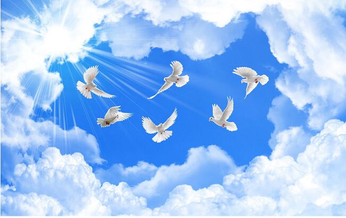 Charlotte se recuperó por completo y recibió el alta dos semanas después, tras lo cual se comprometió a compartir su historia con el mayor número de personas posible. Charlotte se recuperó por completo y recibió el alta dos semanas después, tras lo cual se comprometió a compartir su historia con el mayor número de personas posible.