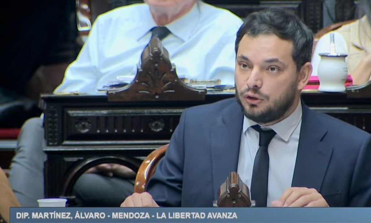 Álvaro Martínez, de La Libertad Avanza. Álvaro Martínez, de La Libertad Avanza.