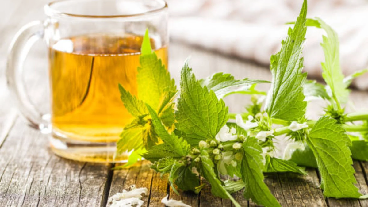 El té de ortiga es una infusión milenaria. El té de ortiga es una infusión milenaria.