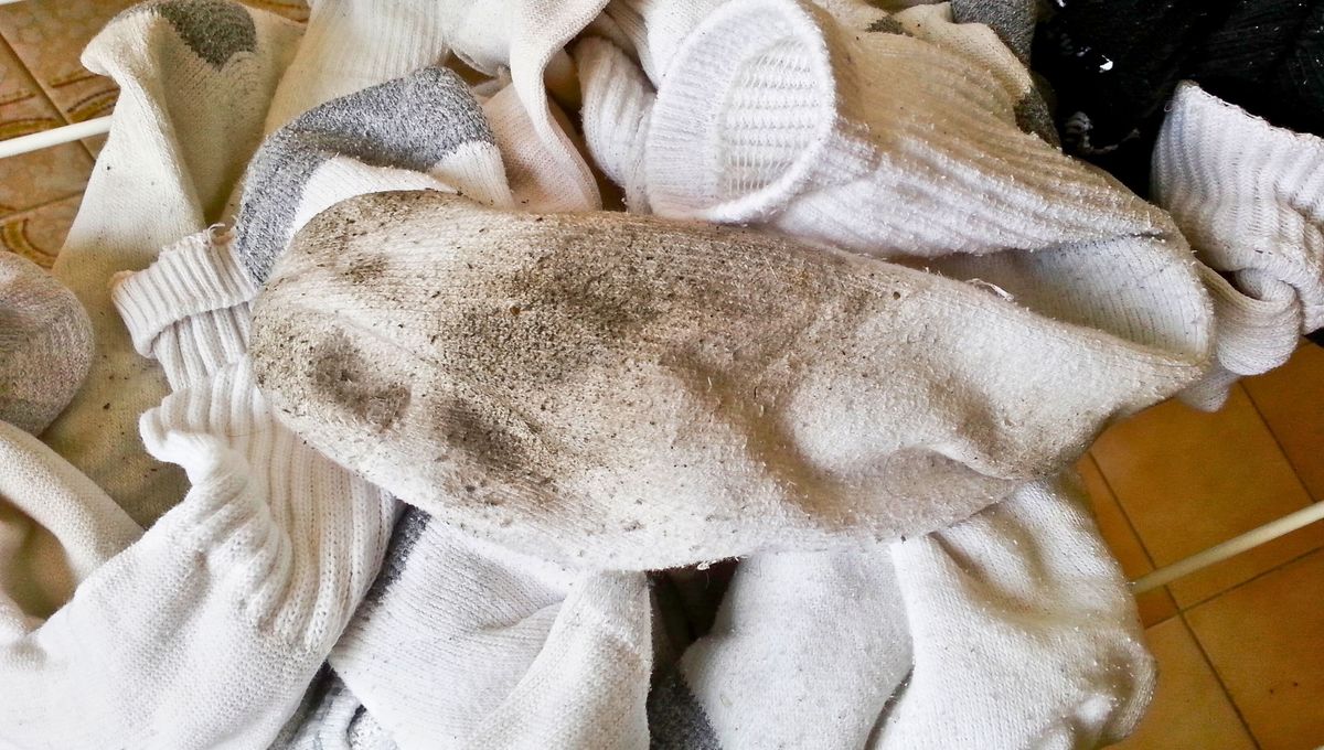 Sin lavandina ni vinagre: el truco para dejar las medias blancas e impecables