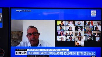 Cobos calificó de inconsistente el impuesto a la riqueza