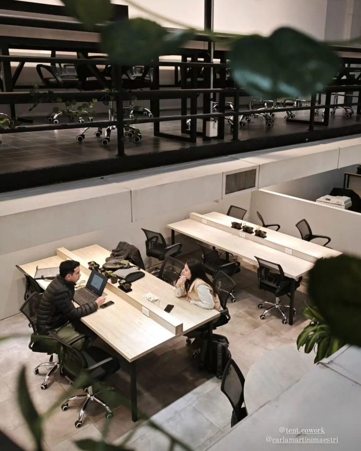 Rodrigo Sosa y Carla Martini Maestri, los dueños de Tent. El espacio está ubicado en Arístides Villanueva 430 de Ciudad de Mendoza. Rodrigo Sosa y Carla Martini Maestri, los dueños de Tent. El espacio está ubicado en Arístides Villanueva 430 de Ciudad de Mendoza.