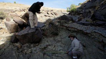 Descubren una huella de un gran depredador