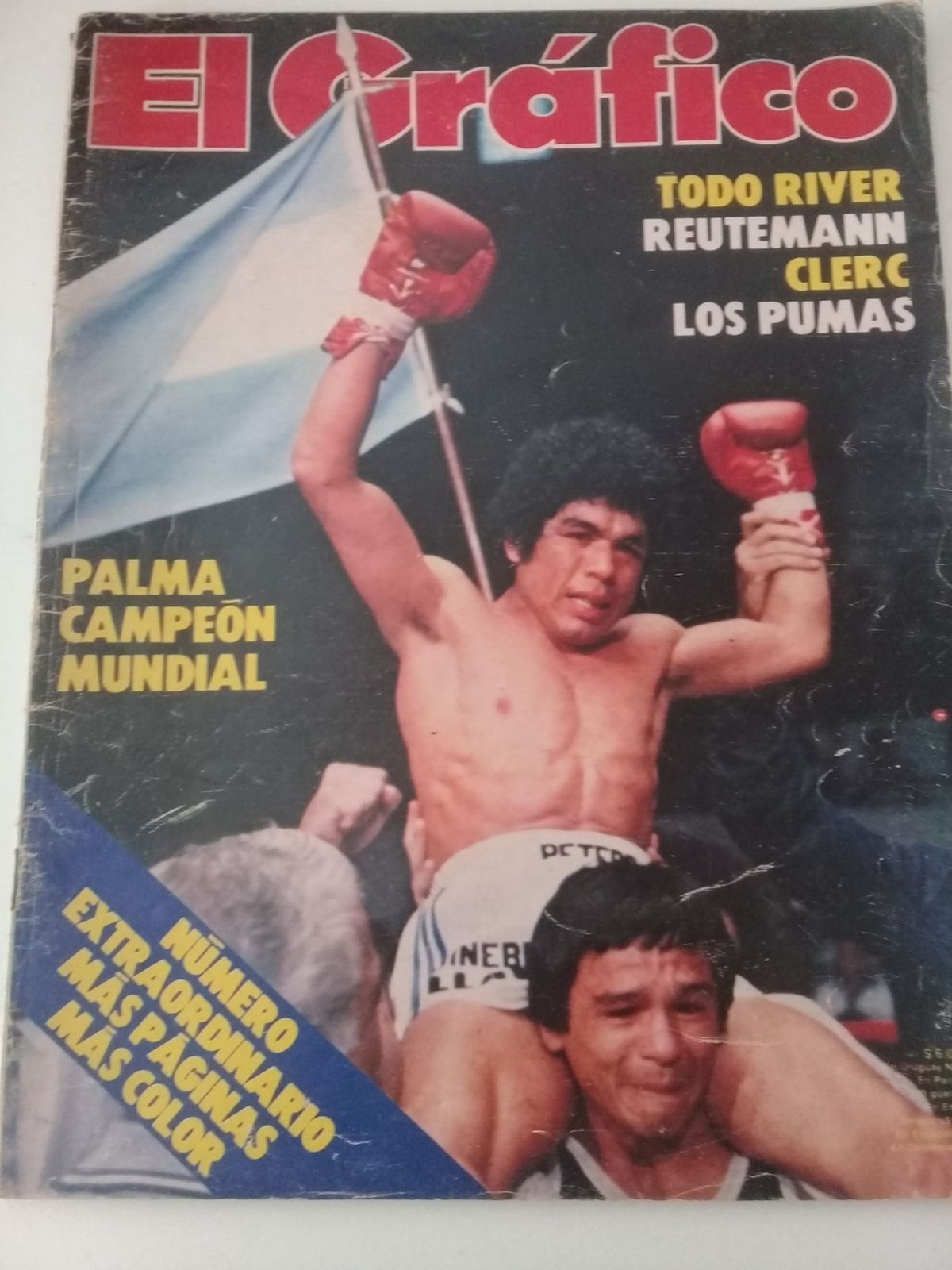 Sergio Víctor Palma alcanzó la gloria en 1980.