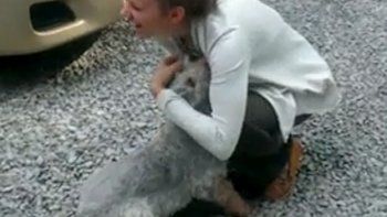 La increíble reacción de un perro después de dos años sin ver a su amiga