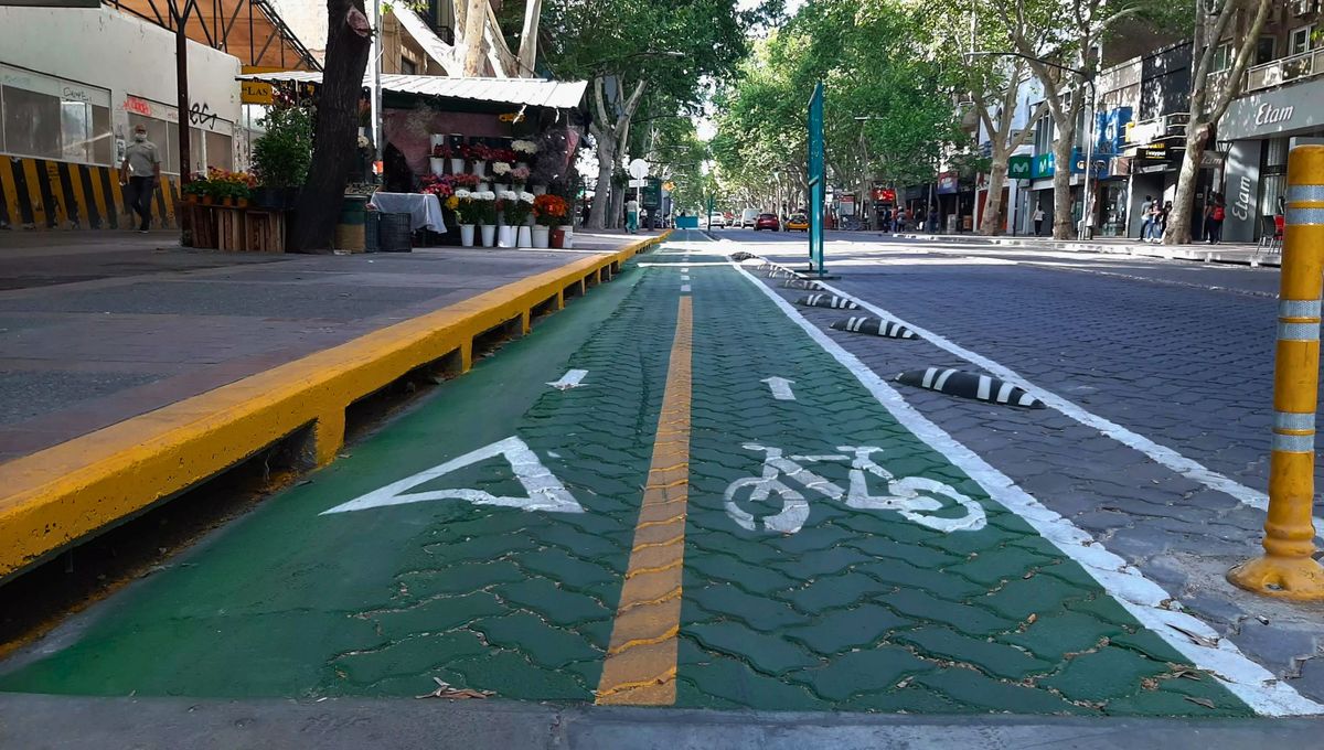 Usos y diferencias de las ciclovías y las bicisendas. Usos y diferencias de las ciclovías y las bicisendas. 