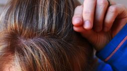 Descubre cómo tapar las canas utilizando una planta.
