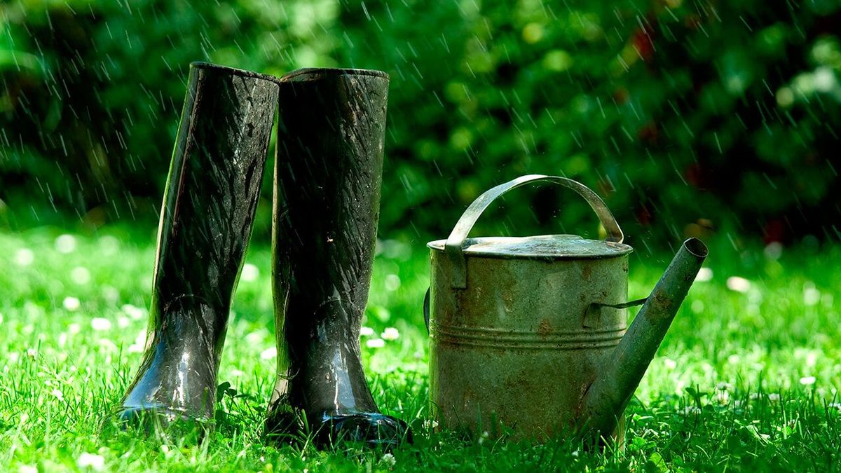 La lluvia es buena para los jardines que ya tienen césped. La lluvia es buena para los jardines que ya tienen césped.