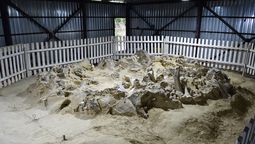 El indescriptible descubrimiento en Ucrania. El indescriptible descubrimiento en Ucrania.