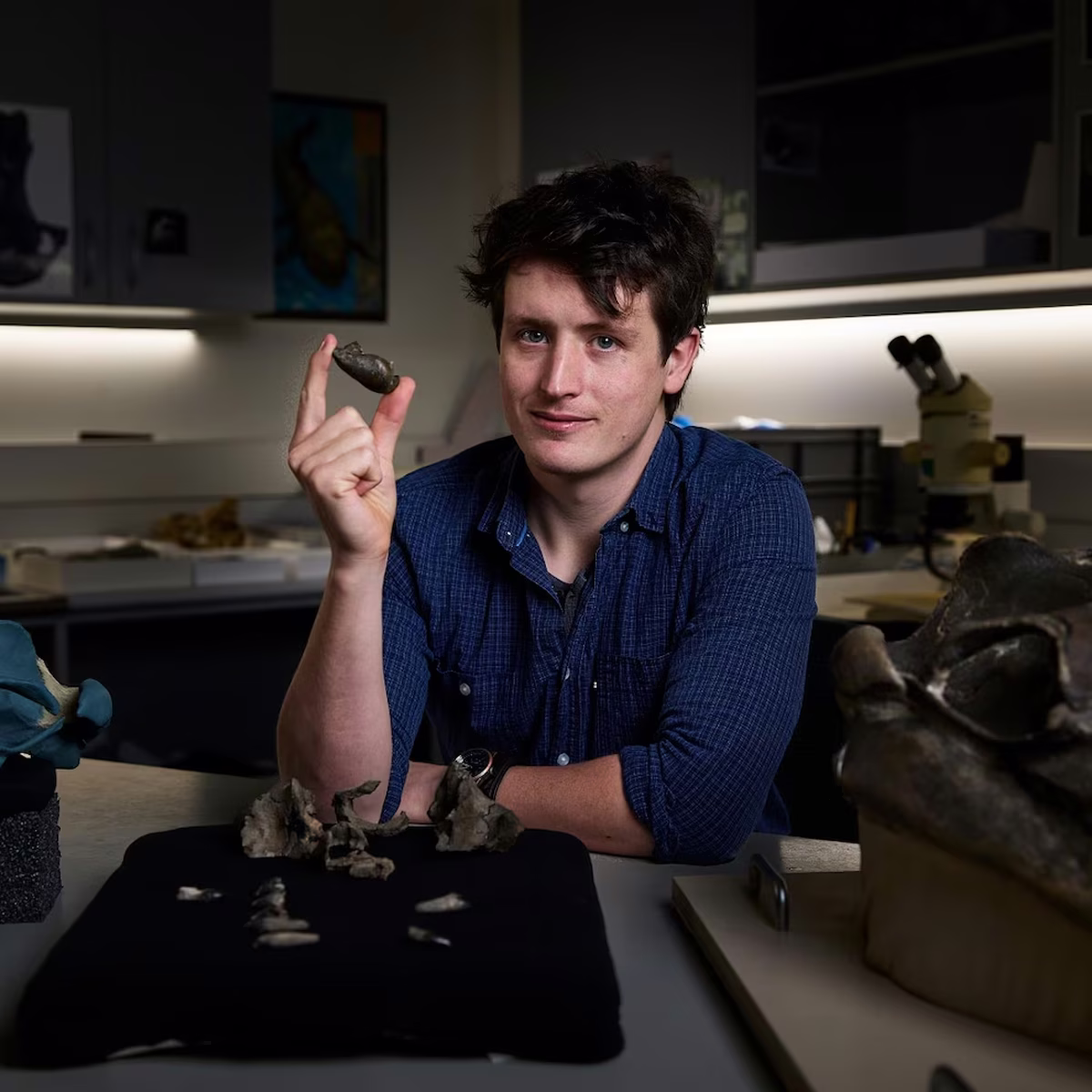 Este ejemplar fue localizado en 2019, pero los resultados están disponibles recién ahora Este ejemplar fue localizado en 2019, pero los resultados están disponibles recién ahora