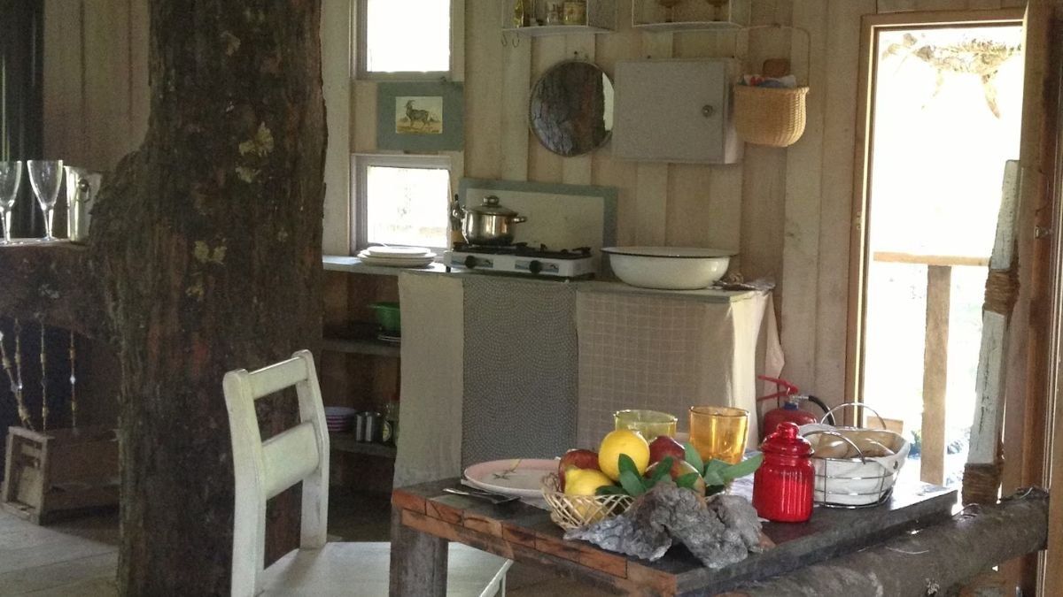 La casa del árbol en Chile para pasar las vacaciones. Fuente: Canva. La casa del árbol en Chile para pasar las vacaciones. Fuente: Canva.