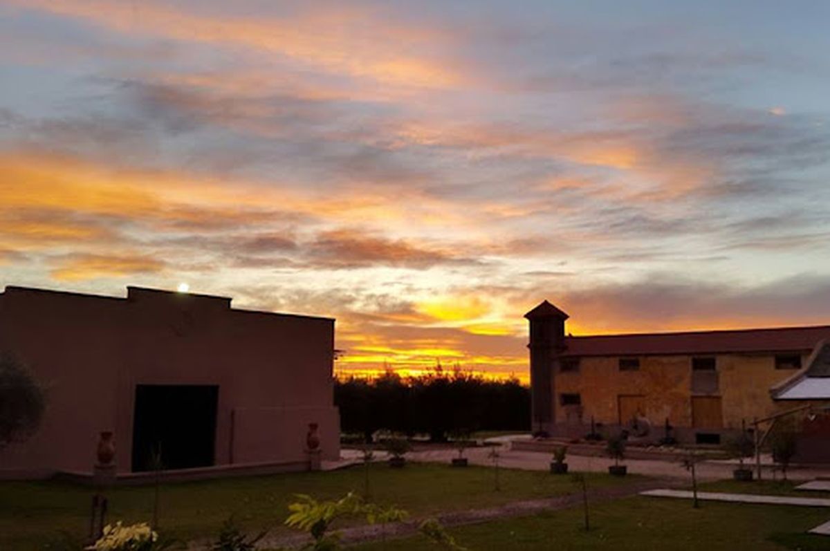 En este imponente paisaje de la Olivícola Laur se llevará adelante la puesta de